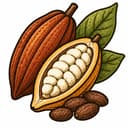Cacao