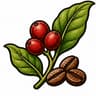Coffee beans
